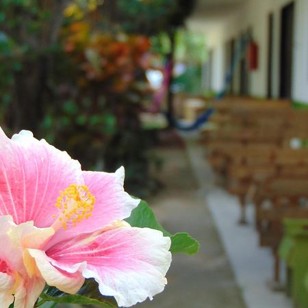 Bed and breakfast Crucero Tulum Extérieur photo