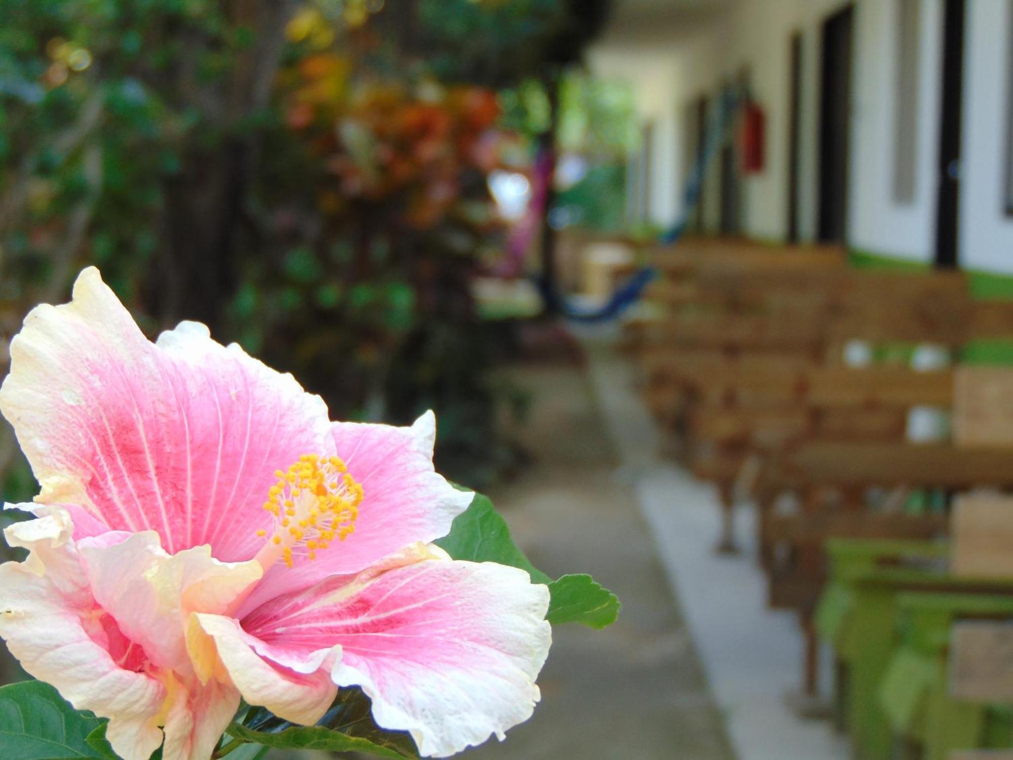 Bed and breakfast Crucero Tulum Extérieur photo